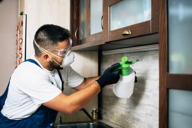 Best Wildlife Control Services  in Anton, TX