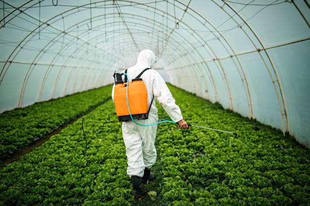 Best Pest Control Near Me in Anton, TX