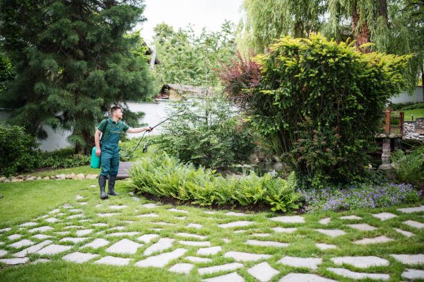 Best Pest Inspection Near Me  in Anton, TX