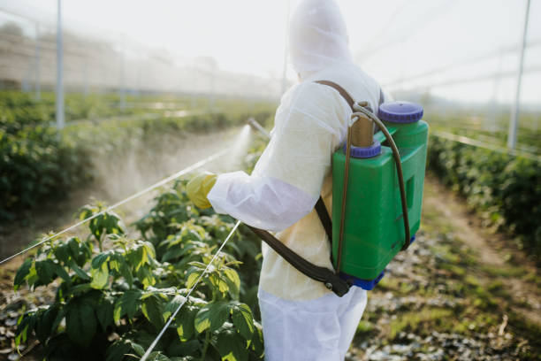 Best Cockroach Control Services  in Anton, TX